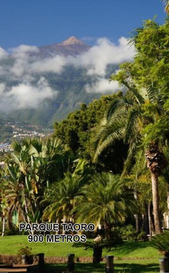 Toplage. Blick. Sauber. Guenstig. Pool. Gepflegt Puerto de la Cruz  Exterior photo